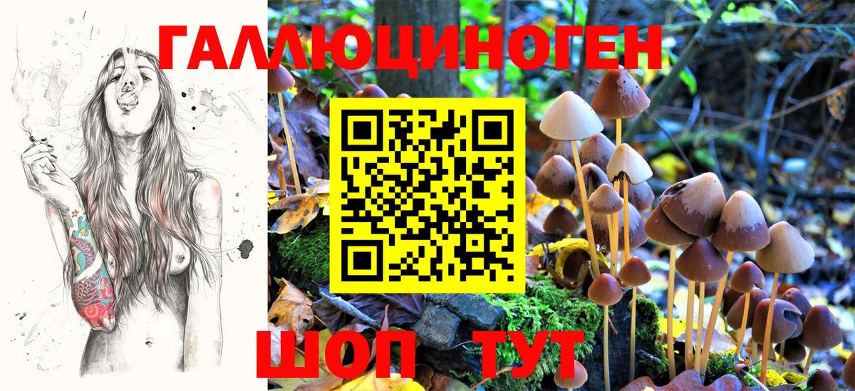 Галлюциногенные грибы GOLDEN TEACHER  Вход с VPN  Будённовск 